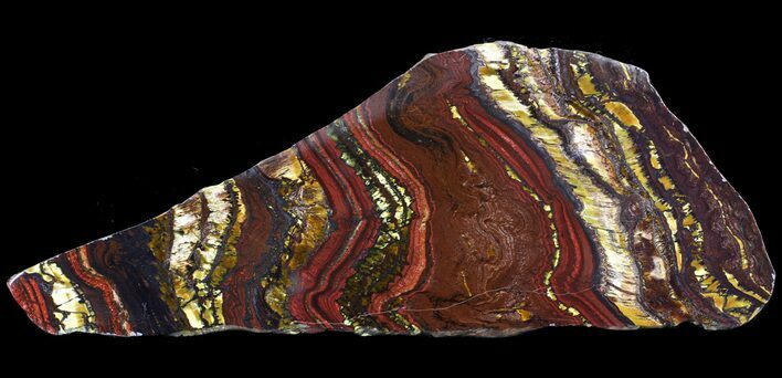 Polished Tiger Iron Stromatolite - ( Billion Years) #65546